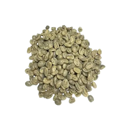 [F-UPCO2025-FINCA-LILILIN] PRODUCT-DEMO-#2-UNROASTED-GREEN-COFFEE